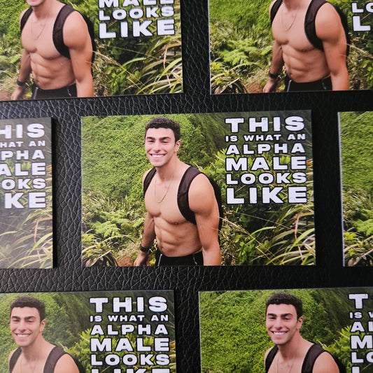 This is a Luigi Magnet image 0