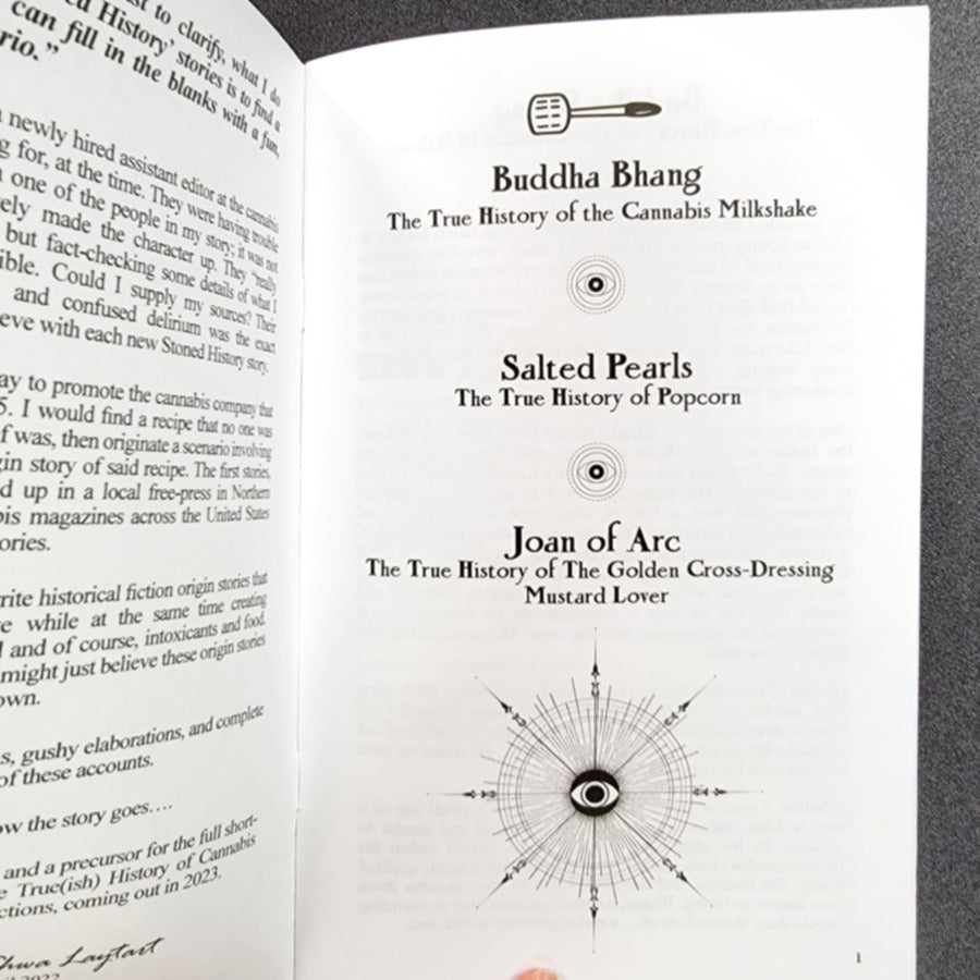 Stoned History Three Short Stories Zine by Shwa Laytart image 1