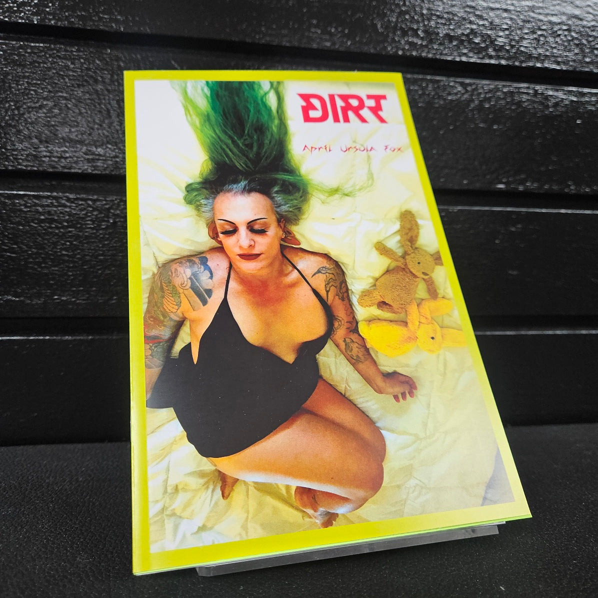 DIRT Poetry Book by April Ursula Fox image 0