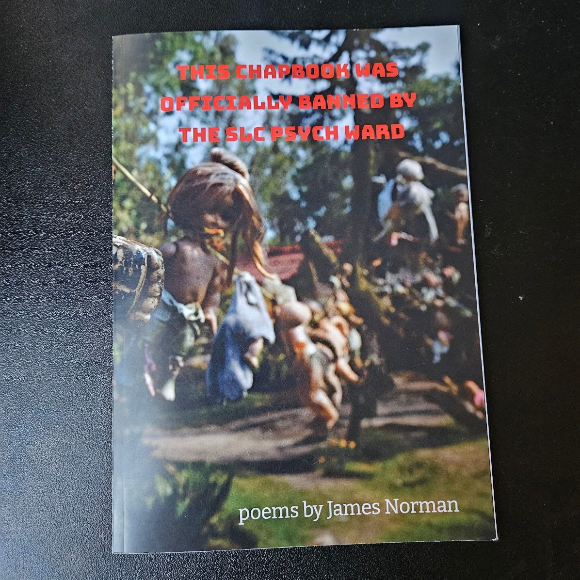 This Chapbook was Officially Banned by The SLC Psych Ward Poems by James Norman image 0