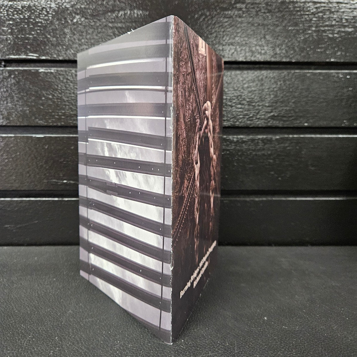 Burning Bridges' Poems by Richard Castillo image 2