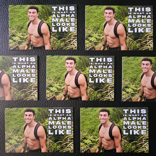 This is a Luigi Magnet image 1