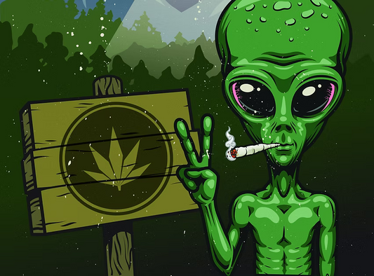 Was Bill Shehan Abducted by Aliens?