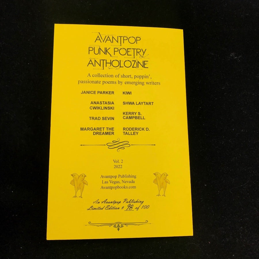 Vol. 2 Avantpop Punk Poetry Antholozine image 1
