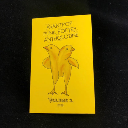 Vol. 2 Avantpop Punk Poetry Antholozine image 0