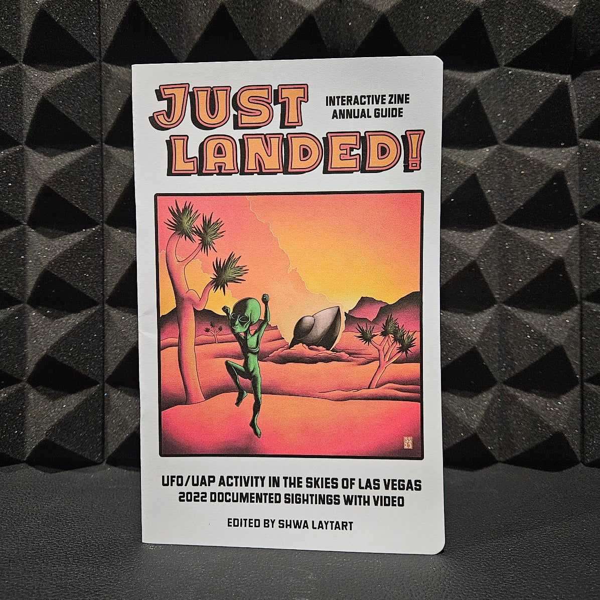 Just Landed! Interactive Zine UFO/UAP Annual Guide image 0